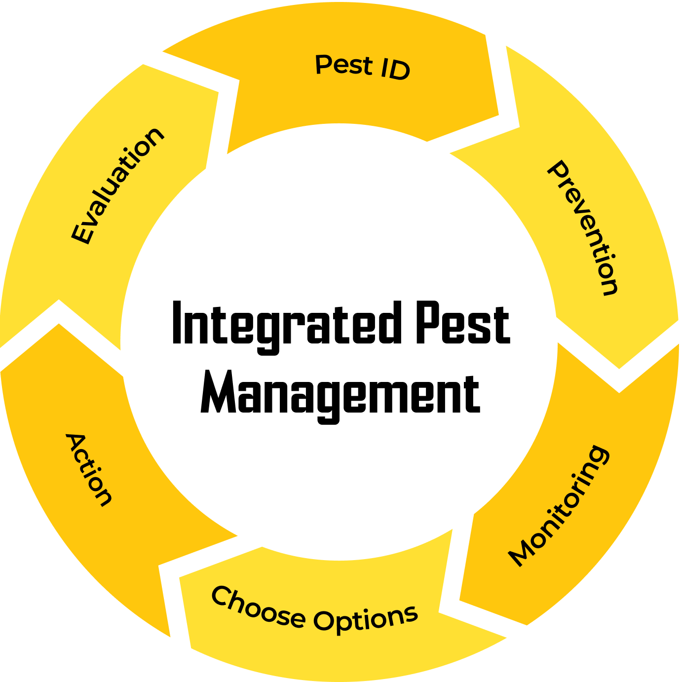 IPM Diagram