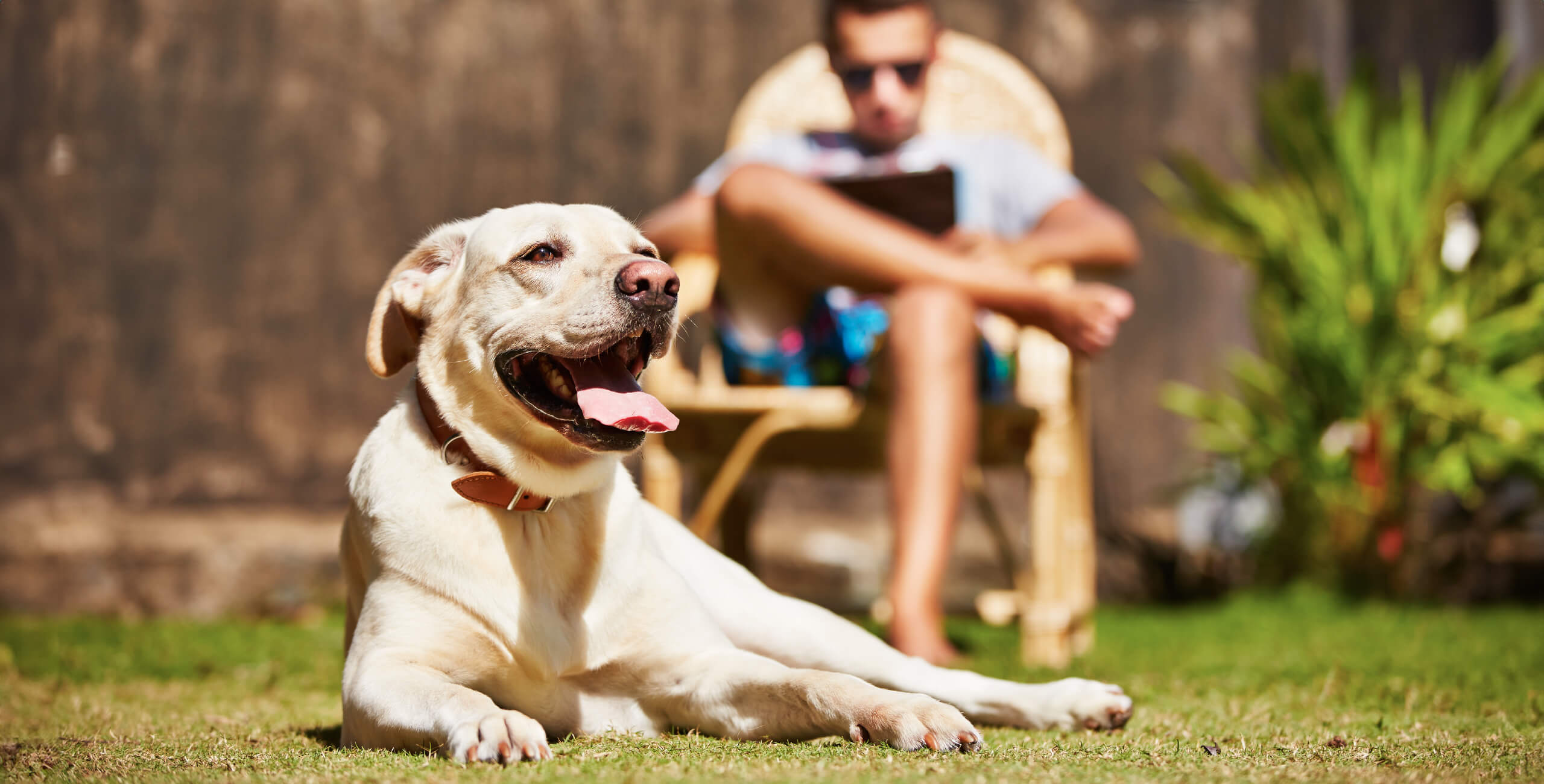 BoyReadingWithDogBackyard